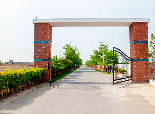 Gated Community